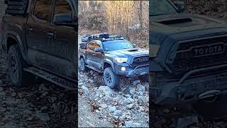 Toyota Tacoma TRD Off Road Climbing Rolling Rock Hill Challenge shorts toyotatacoma offroad [upl. by Ielak]