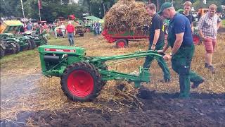 Pflügen mit Holder E14 Nordhorn 2017 [upl. by Coltin]