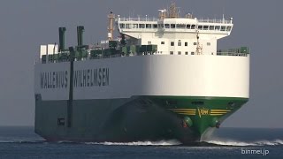 OTELLO  Wallenius Wilhelmsen vehicles carrier [upl. by Renato191]