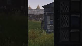 NEVER Give a DayZ Player an Excuse to Shoot [upl. by Atiuqan]