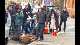 Martin Scorsese filming The Irishman with Robert De Niro in Ridgewood New York [upl. by Tome]