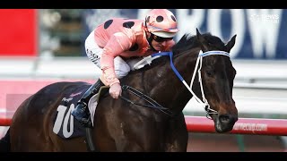 Black Caviar wins x25 20092013 [upl. by Anaidni541]