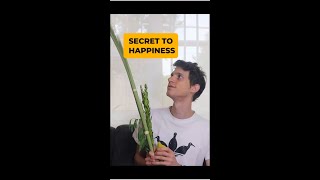 The Surprising Jewish Secret to Happiness SUKKOT Lulav amp Etrog [upl. by Laven913]