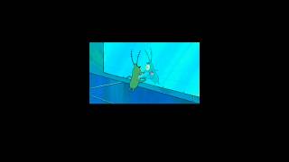 Plankton yells at a mirror spongebob cartoon music [upl. by Einahpets888]