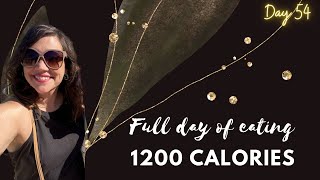 Day 54 What a 1200 calorie day looks like [upl. by Hild]