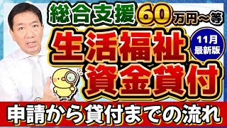 【60万円 生活資金貸付 非課税でなくても申請可能】申請から貸付の流れ 低所得者 高齢者 障害者世帯 生活支援費 就学支援費 保証人不要 免除と生保は利用できる？〈24年11月時点〉 [upl. by Aneehsal]