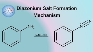 Diazonium Salt Formation Mechanism  Organic Chemistry [upl. by Jolyn]