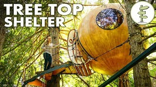 Most Amazing Tiny Round Tree House Fully Suspended in the Air [upl. by Eneroc]