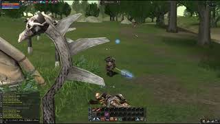 Lineage 2 interlude gameplay Quest Test of Champion Destroyer second transfer class [upl. by Hathcock]