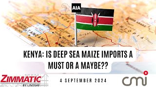 Kenya Is Deep Sea Maize Imports a MUST or a MAYBE  4 Sept 2024 [upl. by Fania901]