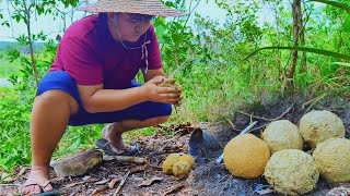 Cooking eggs in clay and grilling meat on top the hill [upl. by Yrrak]