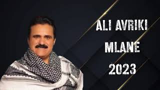 Ali avriki mlane full full zawq new 2023 علي افريكي ملاني فول فول زه وق ٢٠٢٣ نيو [upl. by Eintruoc518]