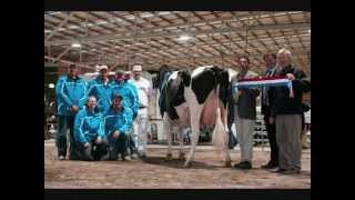 The National Herd Development Victorian Winter Fair 2014 [upl. by Cullie]