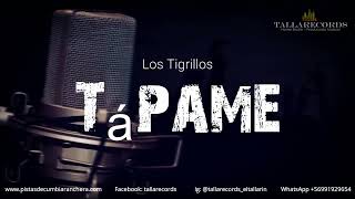 Tápame Tápame  Karaoke en Cumbia Ranchera  Pista Instrumental  Letra  TallaRecords [upl. by Yvehc]