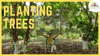 Get started with Permaculture Plant Trees [upl. by Yna]