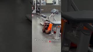 Gym very funny 😅 short comedy video shrots funny [upl. by Ahsiram968]