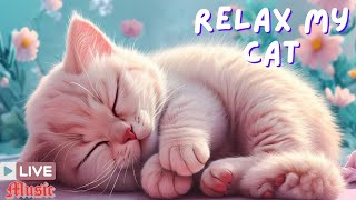 247 Soothing Music for Cats 🎵 Calm Soothe and Relax 🐈 Live Sleep Music 🔴 [upl. by Gnauq]