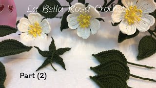 Crochet Rosa canina part 2كروشيه زهرة النسرين الجزء [upl. by Lebyram70]