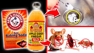 10 POWERFUL Baking Soda amp Vinegar Hacks To Get Rid Of Clogged Drains Pests Stains amp MORE [upl. by Nyra]