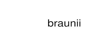 How to pronounce braunii [upl. by Zetroc]