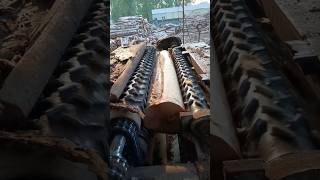 Peeling Tree Bark is not Difficult woodcut firewood woodcuting woodworking woodwork wood [upl. by Casteel]