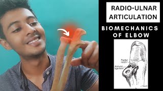 RADIO ULNAR JOINT STRUCTURE  ELBOW COMPLEX BIOMECHANICS Physiotherapy Tutorials [upl. by Nainatrad517]