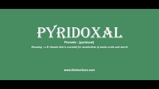 pyridoxal Pronounce pyridoxal with Meaning Phonetic Synonyms and Sentence Examples [upl. by Attej]