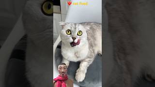 cat food ❤️cats cat funny shorts [upl. by Yrelav]