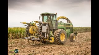 Ensilage 2018  JOHN DEERE 6750 KEMPER CHAMPION 4500 [upl. by Anaejer]