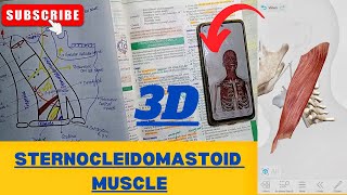 Sternocleidomastoid Muscle  Origin  Insertion  Relations of Sternocleidomastoid [upl. by Nnauol17]