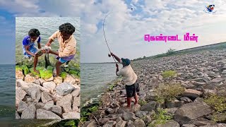 கெண்டை மீன் வேட்டை  CARP FISHING  BAIT PREPARATION Virudhai Angler [upl. by Orhtej914]