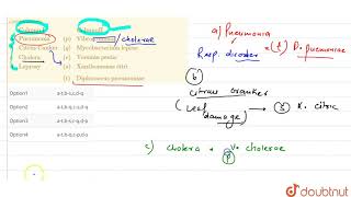 Match items of column I with thoses of column II and choose the correct combinations Column [upl. by Osner]