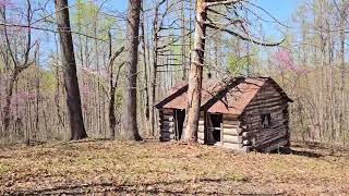 Abandoned log cabin in Daniel Boone national forest [upl. by Oriane]