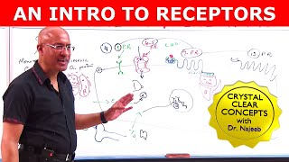 An Intro to Receptors  Types Structure amp Location  Part 1 [upl. by Eibloc]