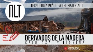 Derivados de la Madera  Celulosa y Lignina por Néstor León T [upl. by Yretsym196]