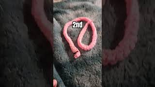 My 1st 2nd and 3rd snake Ive ever crochet [upl. by Teloiv]