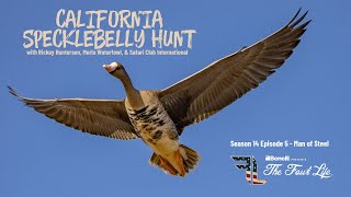 Big Decoy Spread and Good Shooting Makes for a Unreal California Specklebelly Goose Hunt [upl. by Crary]