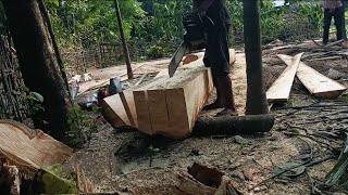 wood cutter chain saw machine starting problem size 3×4×12 👍 sthil ms 382 machine [upl. by Arodnahs]