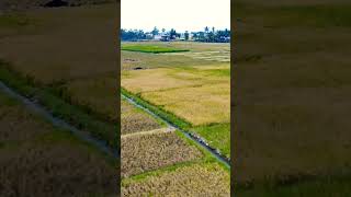 music dj remix beats droneview drone sjrcf22s fpv sjrcf11pro dance [upl. by Aksoyn]