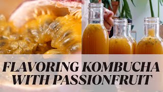 All Time Favorite Kombucha Flavor Passionfruit [upl. by Viehmann660]