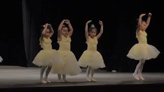 Beauty amp the Beast  Recreational PreSchool Ballet [upl. by Ariuqahs]