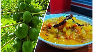 পেঁপের চাটনি  Papaya chatney [upl. by Letch]