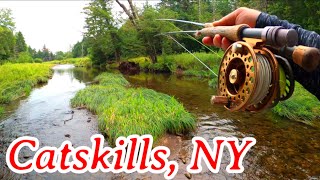 The Hunt For A Record BROOK TROUT  Catskill Mtns NY [upl. by Peale]