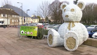 Yvelines  Le broyage de sapins  un geste écologique [upl. by Dorry413]