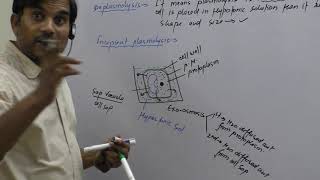 Plasmolysis Incipient Plasmolysis and Deplasmolysis [upl. by Wind]