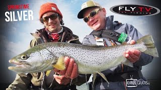 FLY TV  Springtime Silver  Sea Trout Fly Fishing in Denmark [upl. by Lrig]