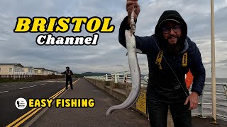 UK Sea Fishing Fish From The Car Special The Bristol Channel 4K [upl. by Holcomb16]