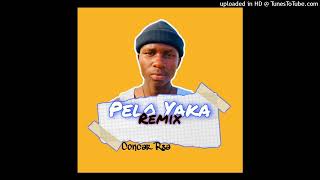 PAIGEKHARISHMA PELO YAKA RemixCONCAR RSA [upl. by Walli]