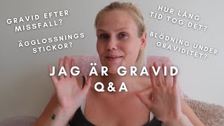 JAG ÄR GRAVID  QampA [upl. by Katrinka432]