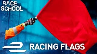 Race School Every Racing Flag Explained  Formula E [upl. by Nissy]